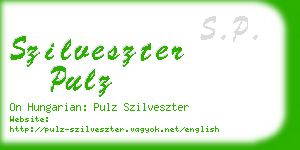 szilveszter pulz business card